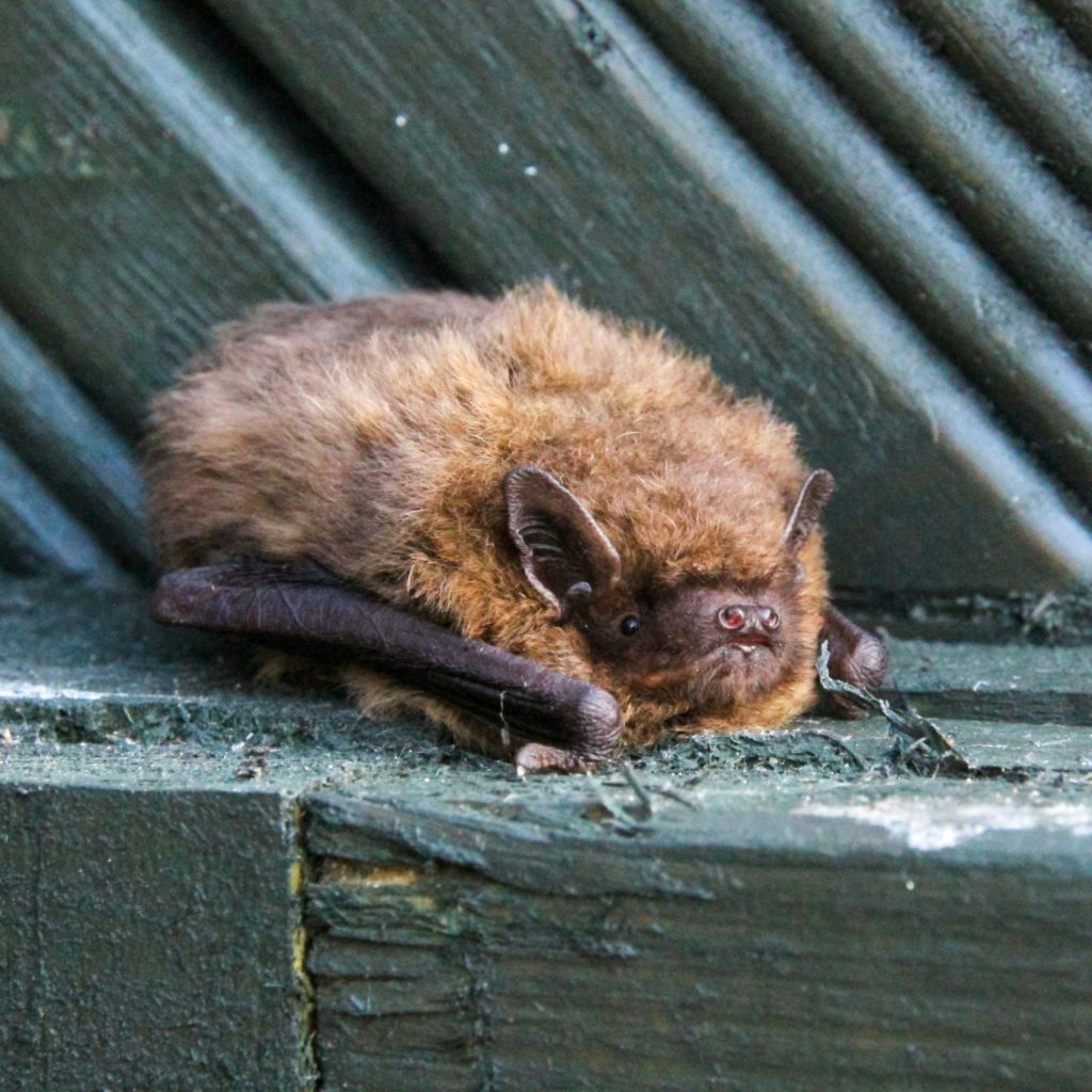 Denley Photography TkcA1V2r5Uc Unsplash Scaled E1758123056117 1024x1024