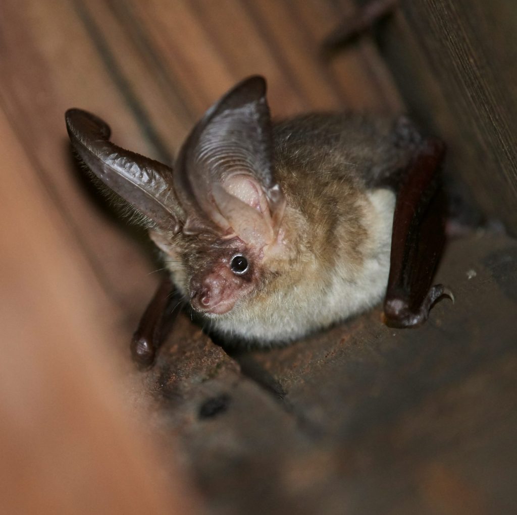 Nils Bouillard Wqw32UCPYw8 Unsplash Scaled E1758122955808 1024x1021